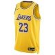 Nike NBA LeBron James Los Angeles Lakers Swingman Icon Edition 2022/23 Ανδρική Φανέλα Εμφάνισης Μπάσκετ Nike NBA LeBron James Los Angeles Lakers Swingman Icon Edition 2022/23 Ανδρική Φανέλα Εμφάνισης Μπάσκετ