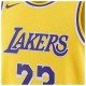 Nike NBA LeBron James Los Angeles Lakers Swingman Icon Edition 2022/23 Ανδρική Φανέλα Εμφάνισης Μπάσκετ Nike NBA LeBron James Los Angeles Lakers Swingman Icon Edition 2022/23 Ανδρική Φανέλα Εμφάνισης Μπάσκετ