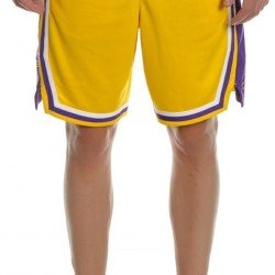 Nike LA Lakers Icon Edition Swingman Short Ανδρικό Σορτς Εμφάνισης Μπάσκετ